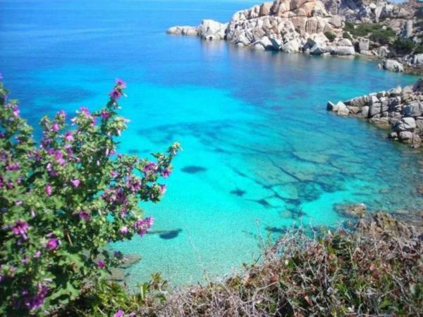 Casa Vacanze Pas Santa Teresa Gallura Ngoại thất bức ảnh